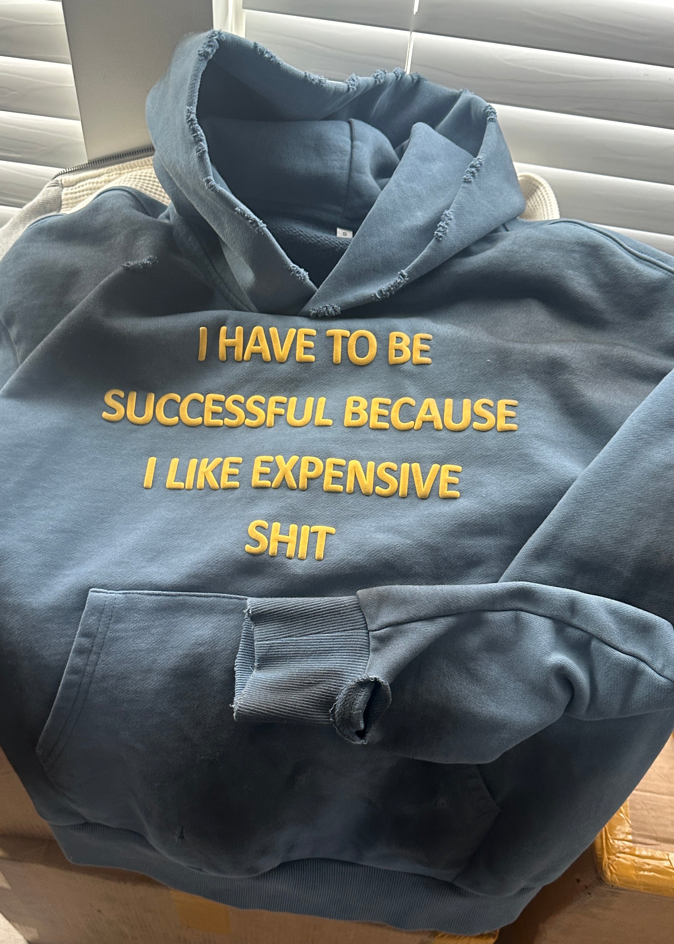 SUCCESSFUL HOODIE