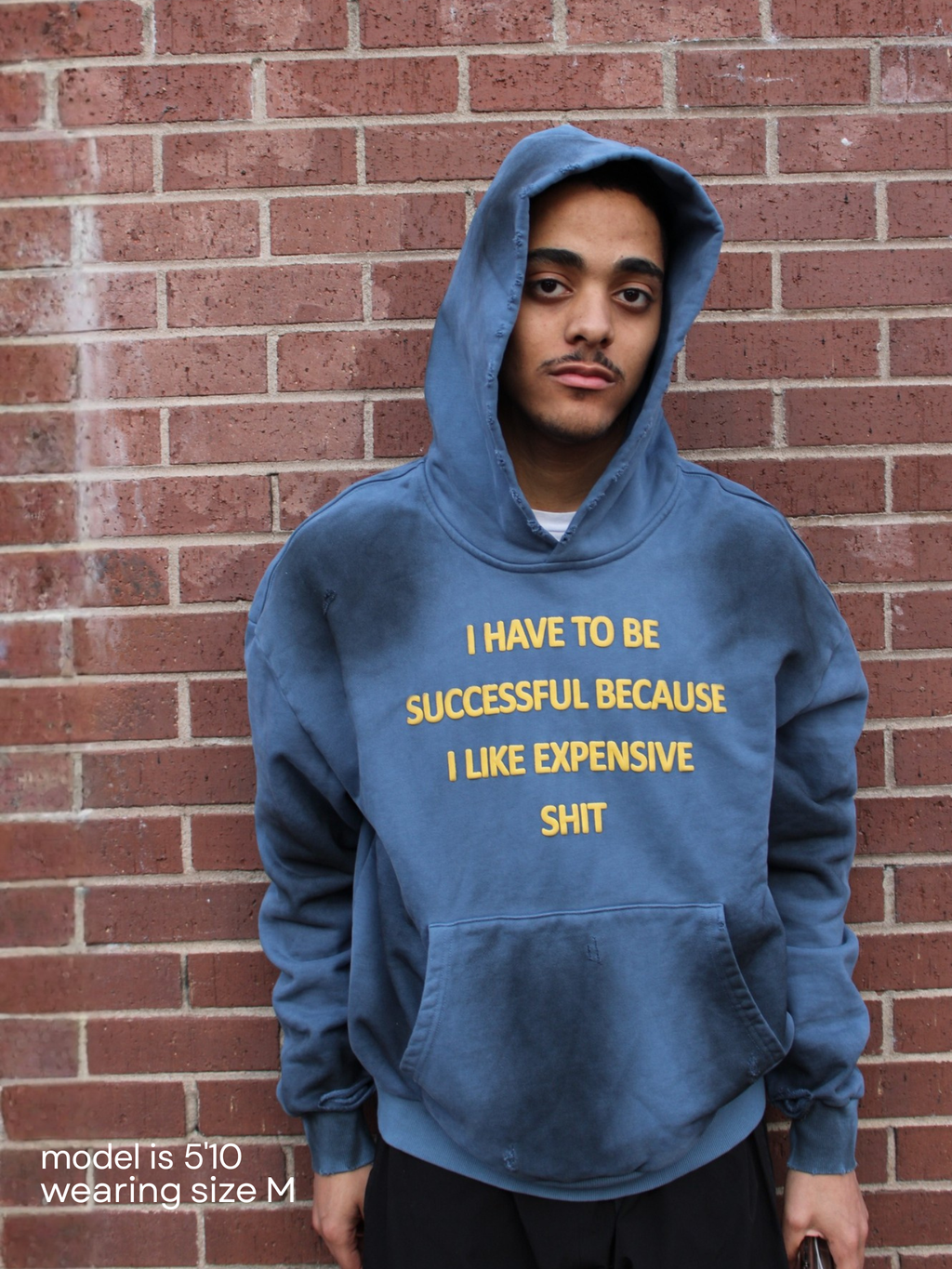 SUCCESSFUL HOODIE